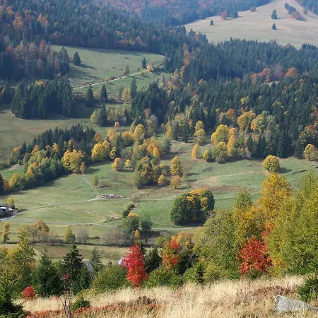 Apartment B1 Schwarzwald-fewo An Der Alb *