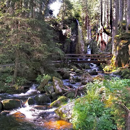 B1 Schwarzwald-fewo An Der Alb * Menzenschwand